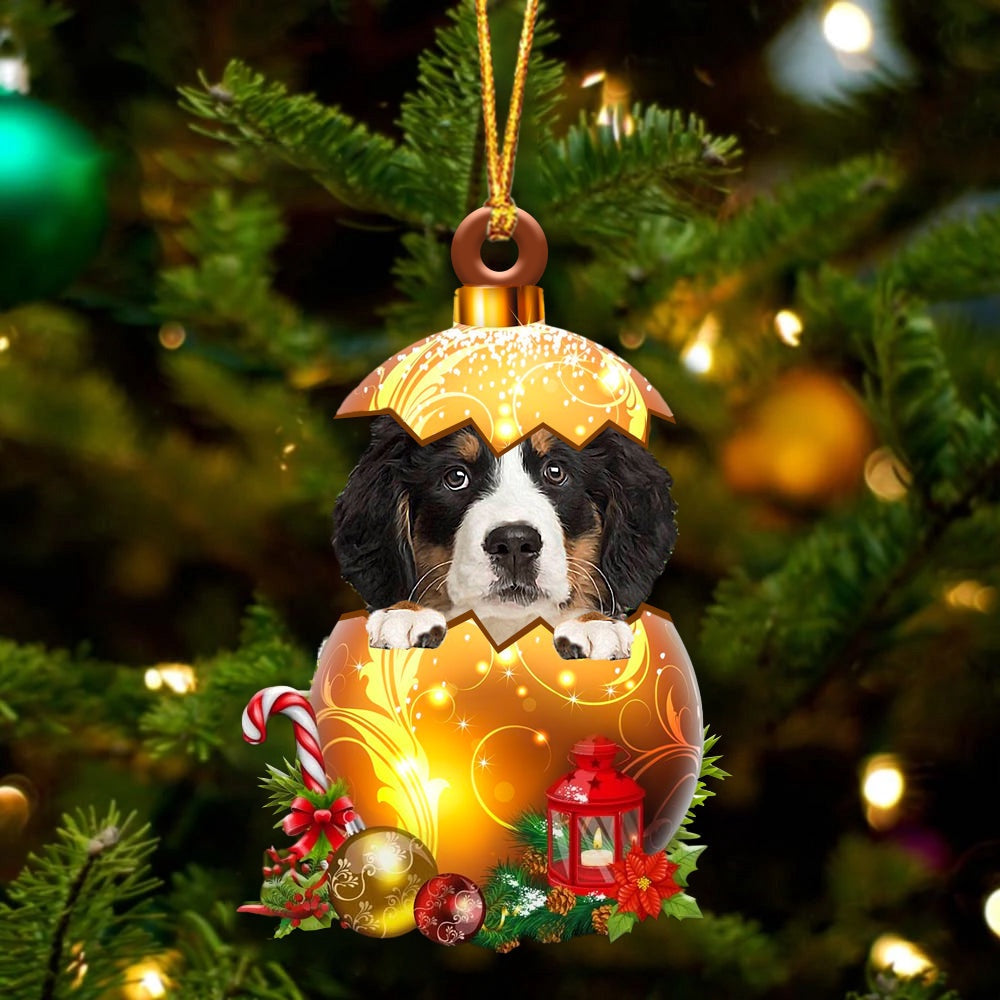 Bernese Mountain Dog In Golden Egg Christmas Ornament, Car Ornament, Unique Dog Gifts For Owners