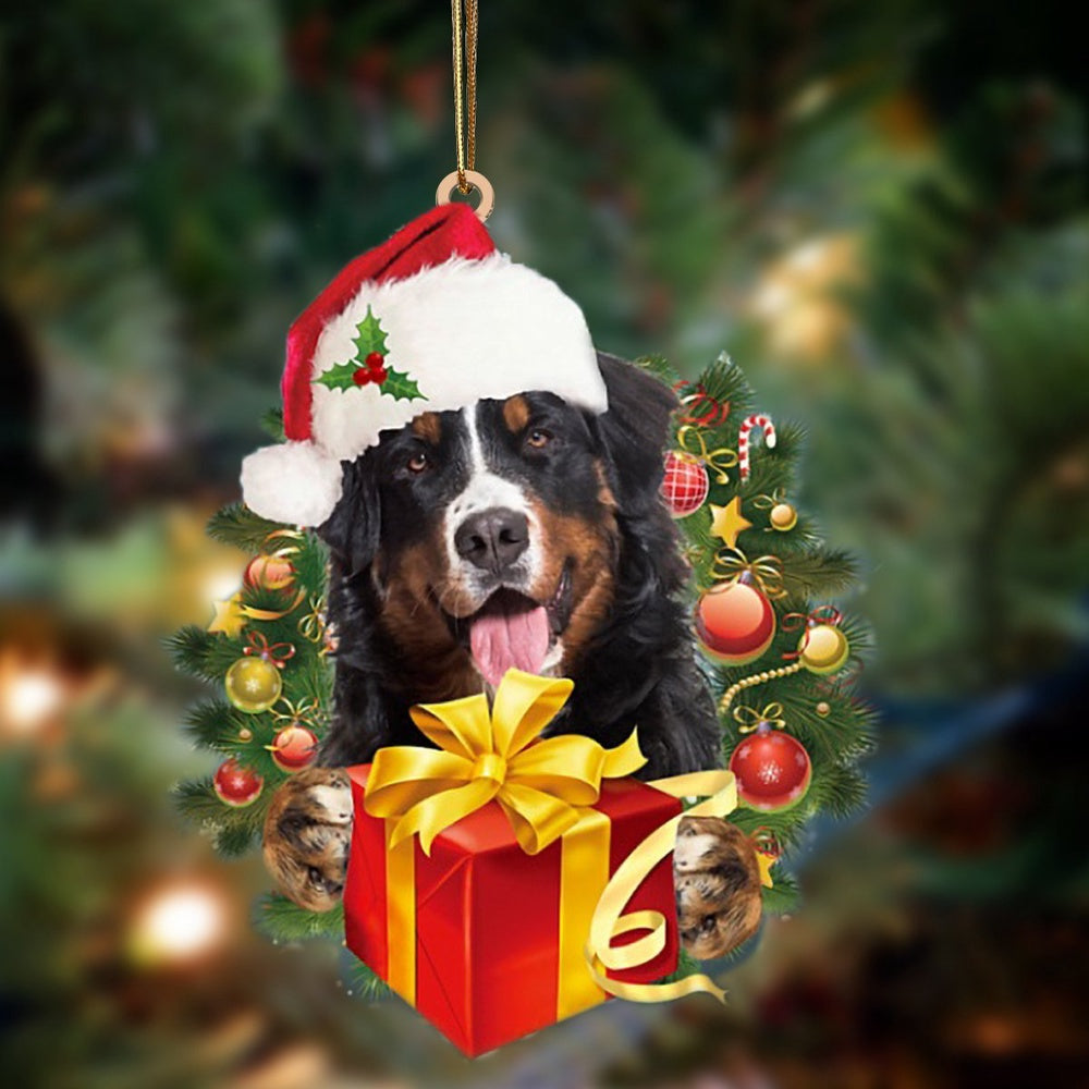 Christmas Gifts For A Dog Lover Male Gifts For Dog Lovers Dog