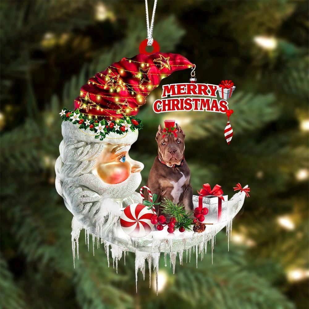 American Bully 02 On The Moon Merry Christmas Ornaments, Christmas Ornaments 2023
