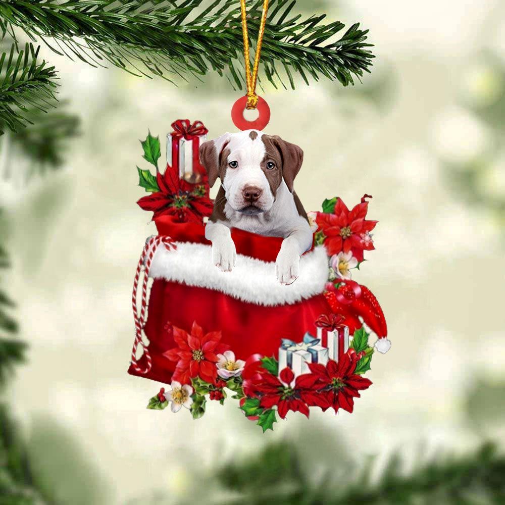 Christmas Ornaments, Pit Bull In Gift Bag Christmas Ornaments, Christmas Ornaments 2023