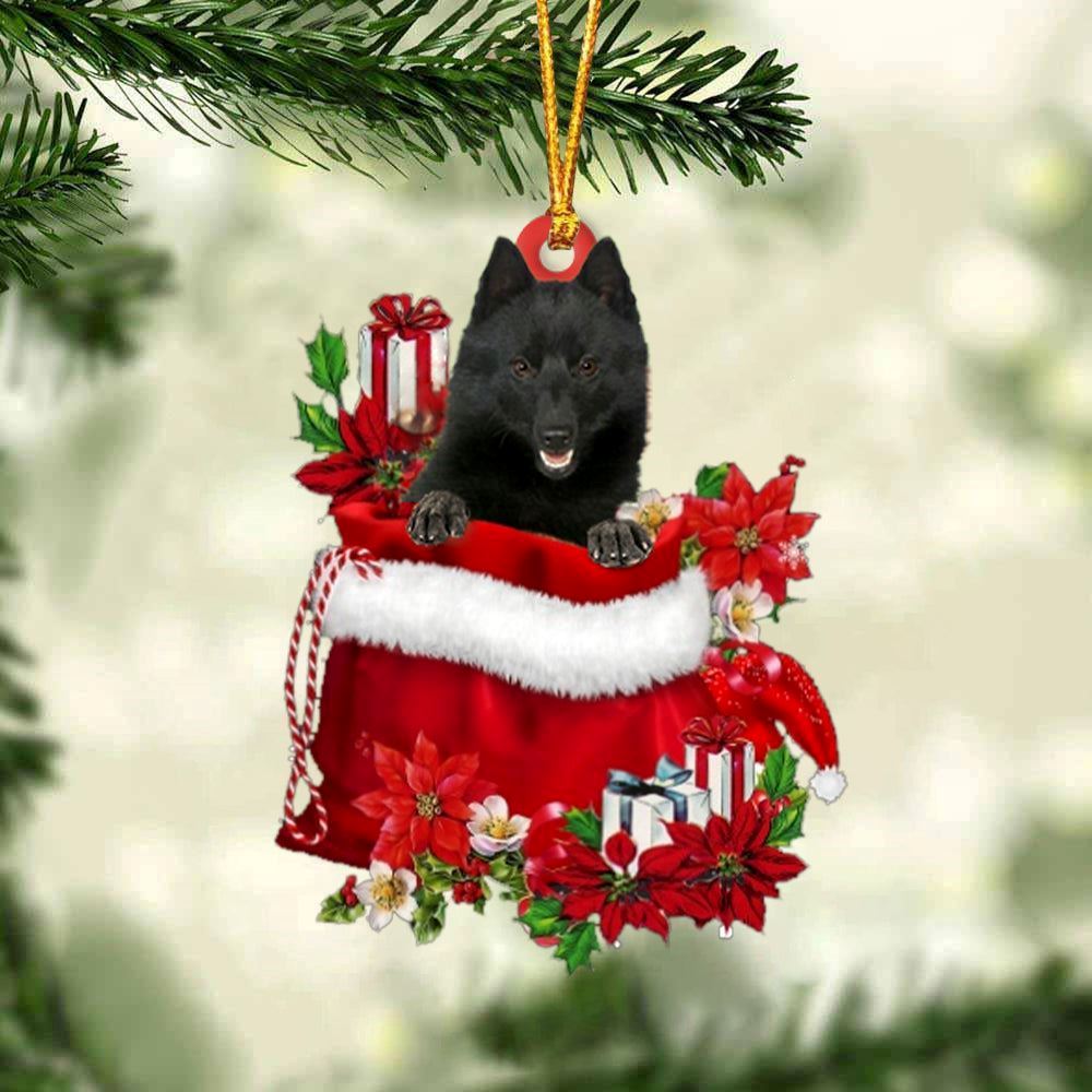 Christmas Ornaments, Schipperke In Gift Bag Christmas Ornaments, Christmas Ornaments 2023