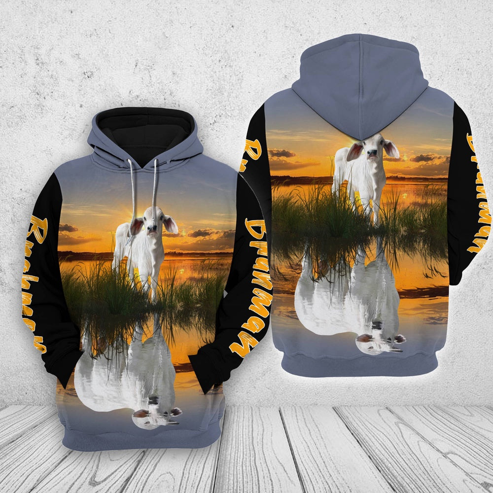 Brahman In The Sunset Shirts, Farmer Hoodie, Farm Themed Shirts, Farm Tee Shirts