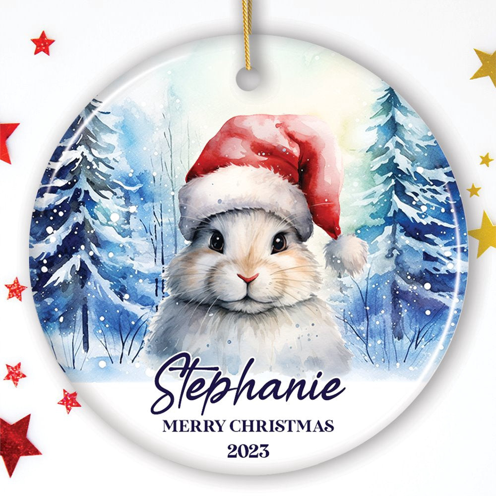 Cute Bunny with Santa Hat Personalized Ornament, Winter Forest Christmas, Christmas Ornament, Personalized Ornaments