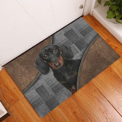 Dachshund Welcome Doormat, Love Dachshund Weiner Doxie Brown Pattern Gift For Dog Lover Welcome Doormat, Pets Home Decor Door Mat