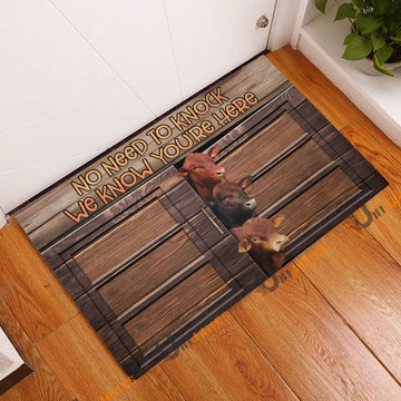 Farm House Door Mat, Beefmaster Window Pattern Custom Name Doormat, Custom Welcome Mats