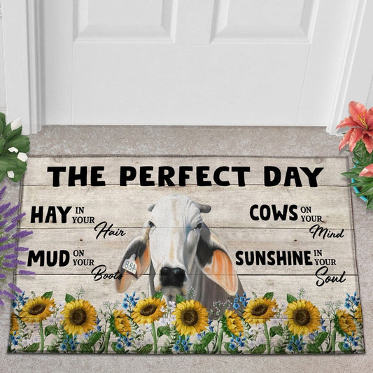 Farm House Door Mat, Brahman The Perfect Day Doormat, Custom Welcome Mats