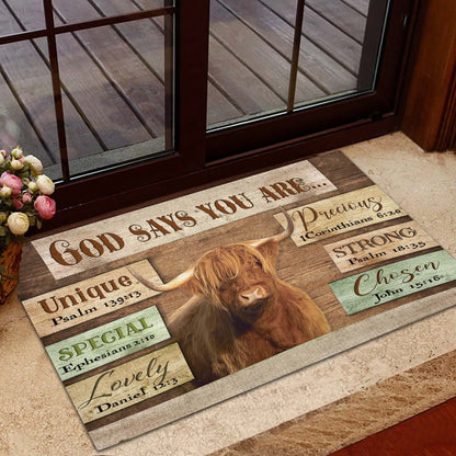 Farm House Door Mat, God Says You Are Highland Cattle Doormat, Custom Welcome Mats