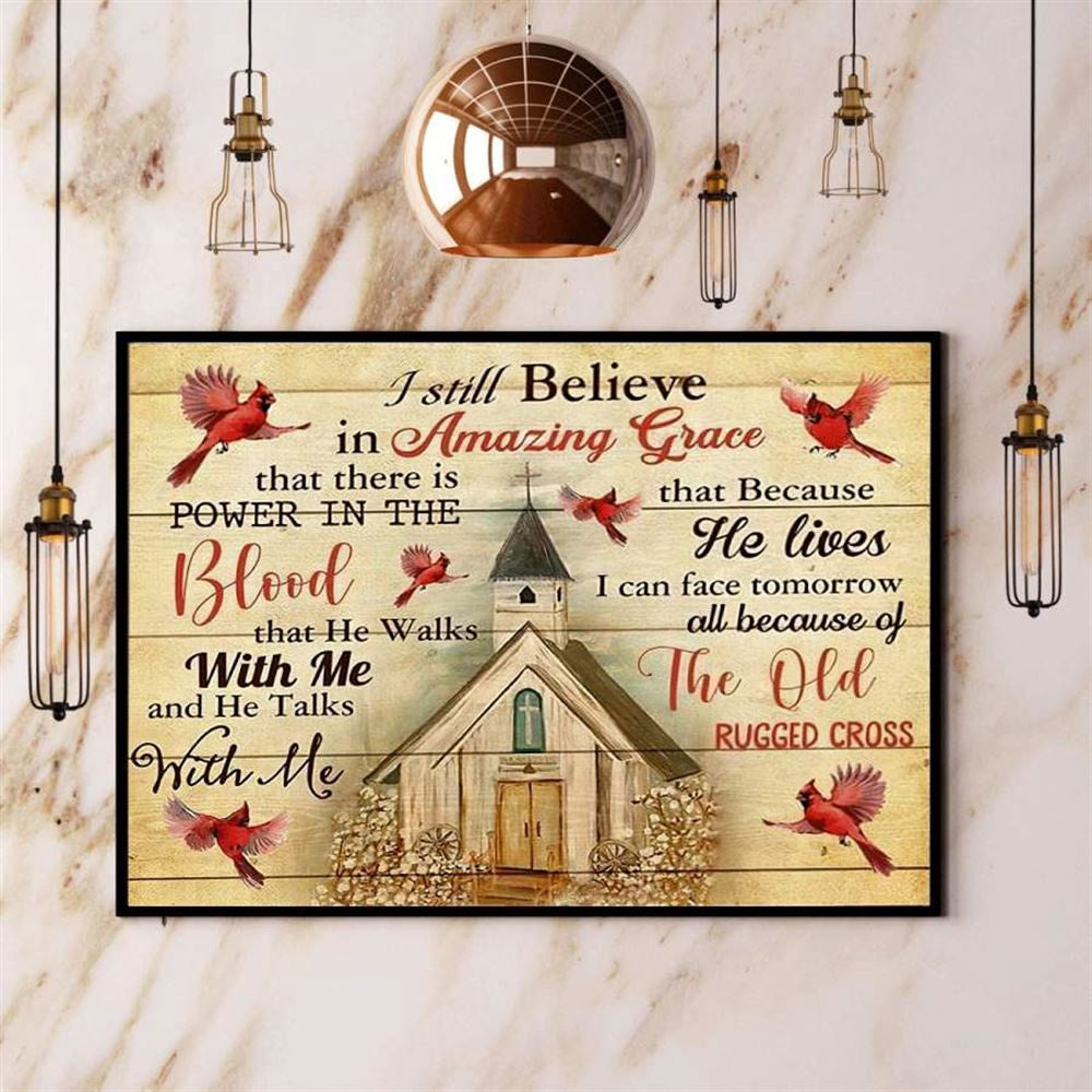 Farmhouse Cardinal I Still Believe In Amazing Grace Canvas, Farm Canvas, Farm Gift, Farm Home Decor