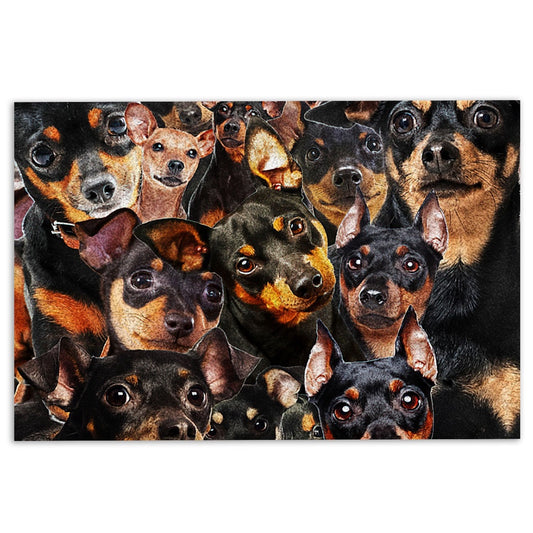 Miniature Pinscher Welcome Doormat, Funny Miniature Pinscher Dogs Faces Hope You Like Dog Hair Welcome Doormat, Pets Home Decor Door Mat