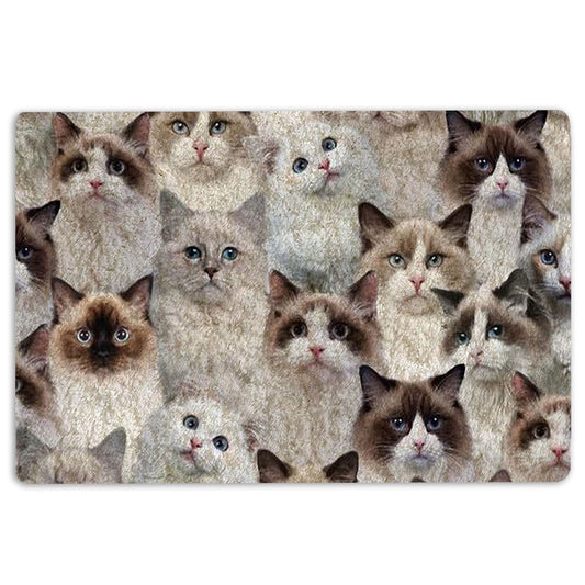 Welcome Doormat, A Bunch Of Ragdoll Cats Cat Pattern Gifts For Cat Lover Cat Mom Welcome Doormat, Indoor Outdoor Doormat Home Decor