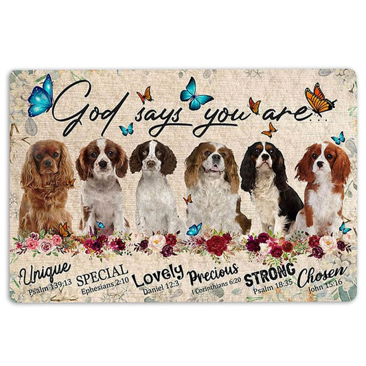 Welcome Doormat, Cavalier King Charles God Says You Are Gifts For Dog Lover Welcome Doormat, Pets Home Decor Door Mat