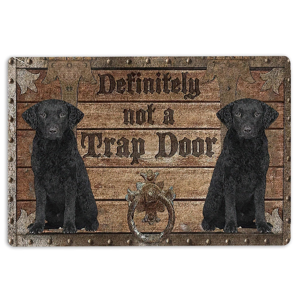 Welcome Doormat, Definitely Not A Trap Door Curly Cotaed Retriever Welcome Doormat, Pets Home Decor Door Mat
