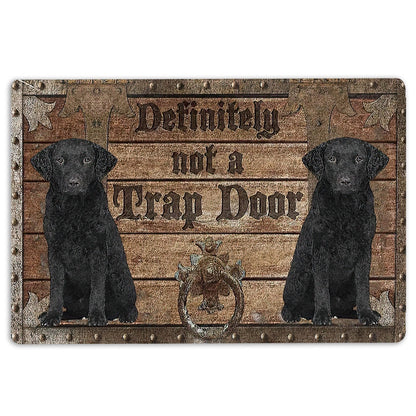Welcome Doormat, Definitely Not A Trap Door Curly Cotaed Retriever Welcome Doormat, Pets Home Decor Door Mat