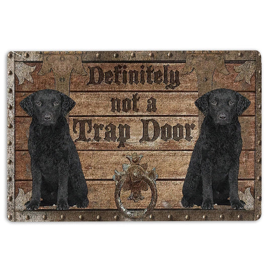 Welcome Doormat, Definitely Not A Trap Door Curly Cotaed Retriever Welcome Doormat, Pets Home Decor Door Mat
