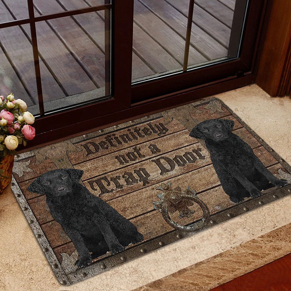 Welcome Doormat, Definitely Not A Trap Door Curly Cotaed Retriever Welcome Doormat, Pets Home Decor Door Mat