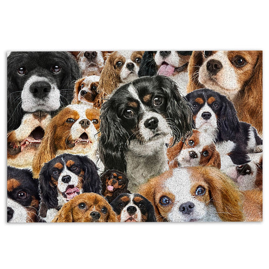 Welcome Doormat, Funny Cavalier King Charles Spaniel Dogs Faces Hope You Like Dog Welcome Doormat, Pets Home Decor Door Mat