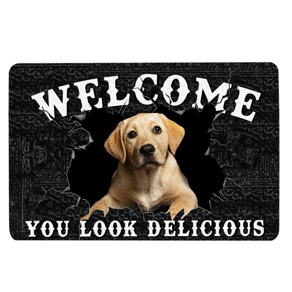 Welcome Doormat, Funny Labrador Welcome You Look Delicious Dog Lover Gift Welcome Doormat, Pets Home Decor Door Mat