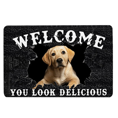 Welcome Doormat, Funny Labrador Welcome You Look Delicious Dog Lover Gift Welcome Doormat, Pets Home Decor Door Mat