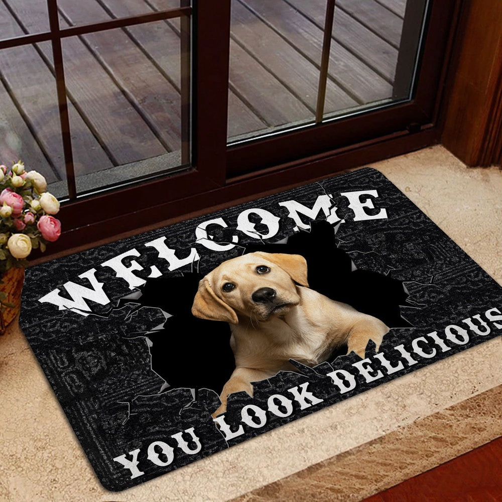Welcome Doormat, Funny Labrador Welcome You Look Delicious Dog Lover Gift Welcome Doormat, Pets Home Decor Door Mat