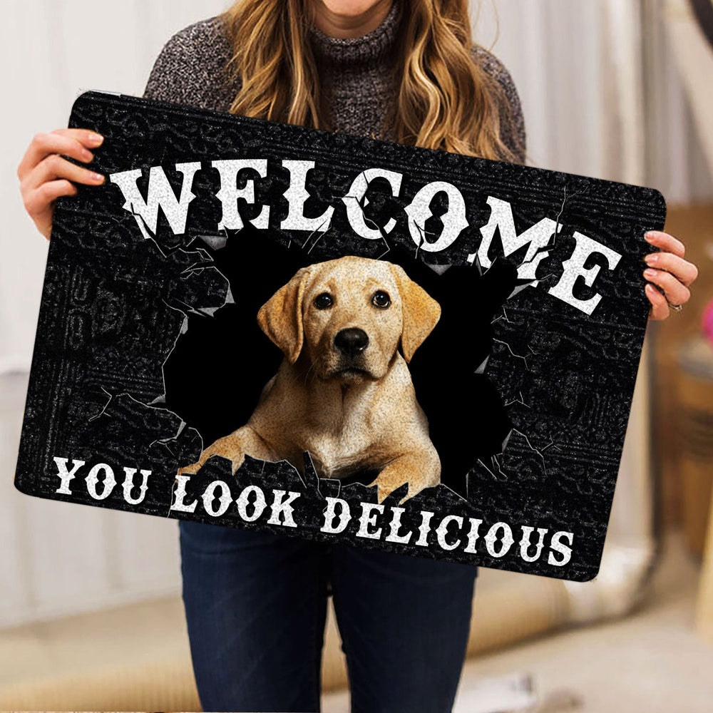 Welcome Doormat, Funny Labrador Welcome You Look Delicious Dog Lover Gift Welcome Doormat, Pets Home Decor Door Mat