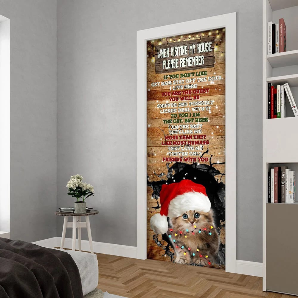 When Visiting My House Please Remember Door Cover, Cat Lover Door Cover, Christmas Gift Decor