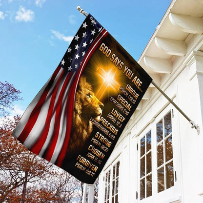 Christian Flag, Lion Christian God Says You Are American US House Flags, Jesus Christ Flag