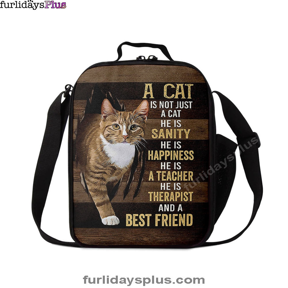 Christian Lunch Bag, A Cat Is Not Just A Cat Lunchbag, Lunch Bag, Lunch Bags For Adults