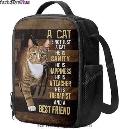 Christian Lunch Bag, A Cat Is Not Just A Cat Lunchbag, Lunch Bag, Lunch Bags For Adults