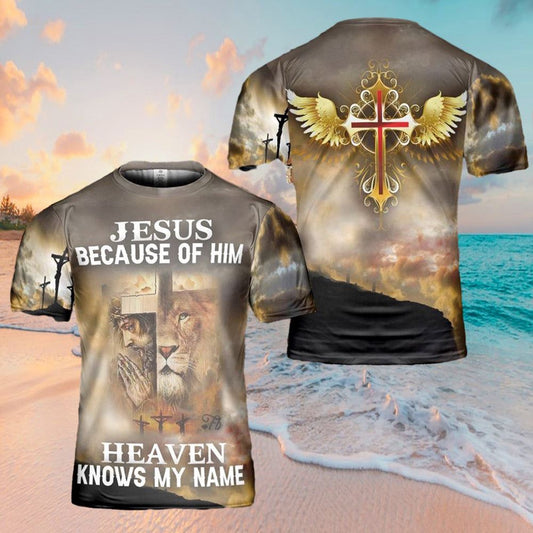 Christian T Shirt, Jesus Because Of Him Heaven Knows My Name 3D T-Shirt, Religious Shirts