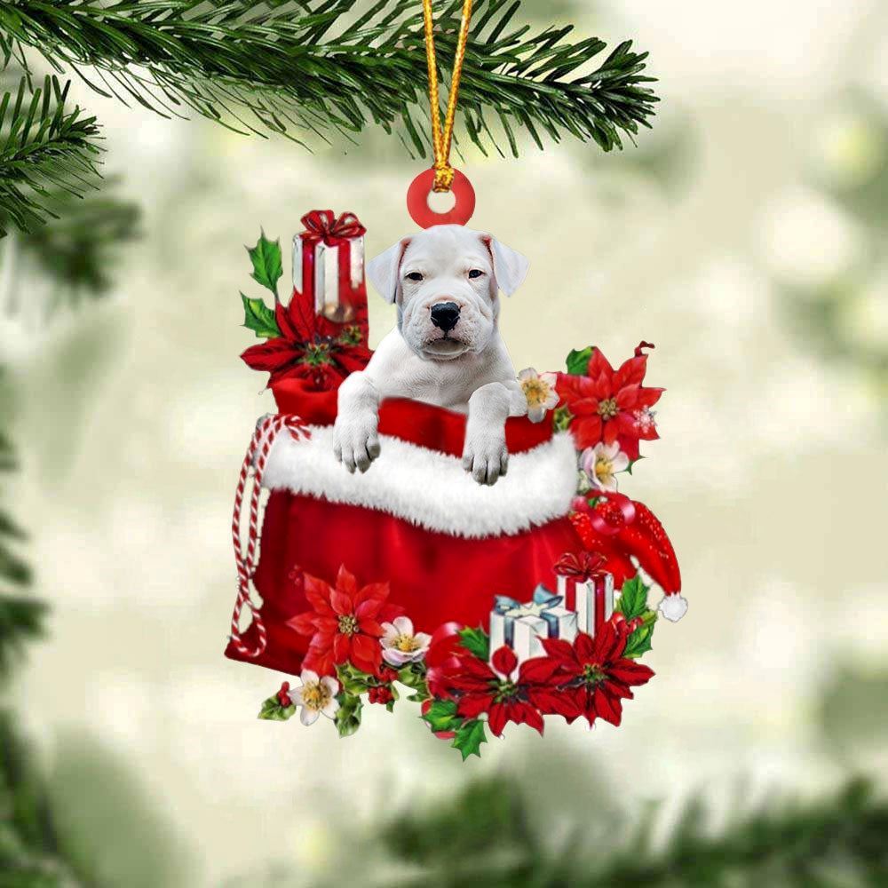 Christmas Ornaments, Dogo Argentino In Gift Bag Christmas Ornaments, Christmas Ornaments 2023