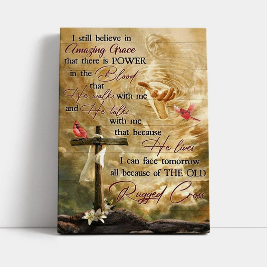 Unique Cross Red Cardinal Jesus I Still Believe In Amazing Grace Canvas Poster