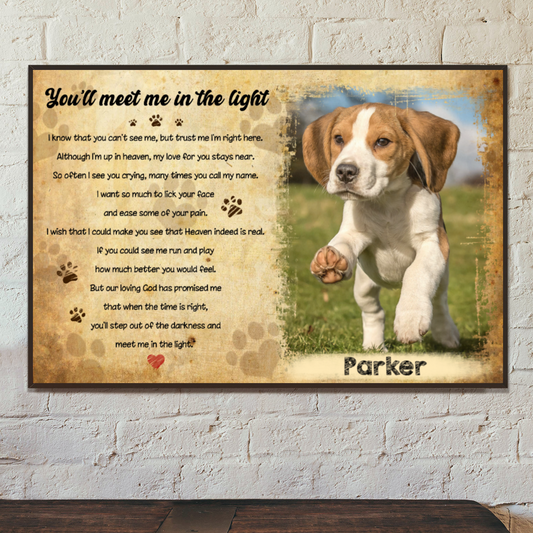 Custom Canvas Prints For Friends/Pet Lovers - Amazing Gift Personalized With Your own Photos - You'll meet me in the light - (Up To 4 Pets/Dogs/Cats)